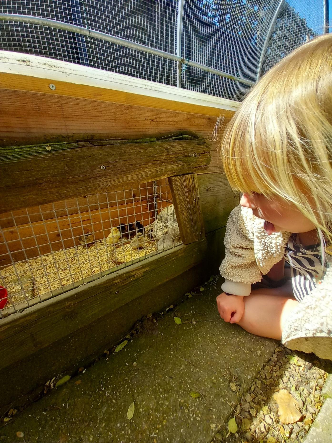Kinderen van BO De Boomgaard op bezoek