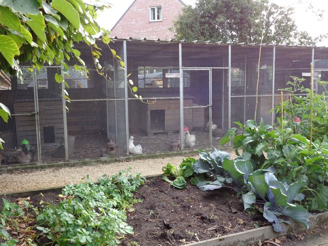 Sfeerbeeld van De Kippentuin