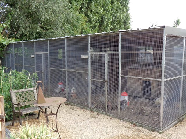 Sfeerbeeld van De Kippentuin