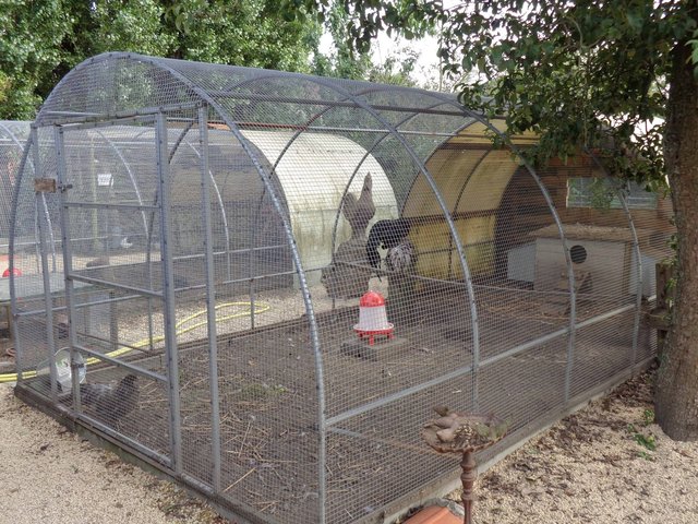 Sfeerbeeld van De Kippentuin